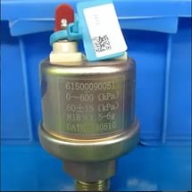 Датчик давления WP10,WP12 61500090051