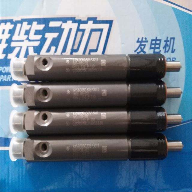 Форсунка топливная в сборе для двигателя WD615.50 61560080305(1)